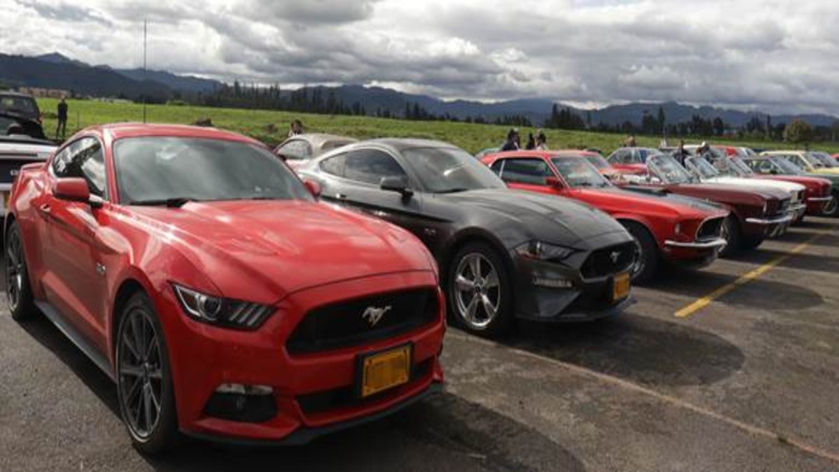Una especial caravana reunió más de 60 Mustangs para celebrar el aniversario de este icónico modelo.