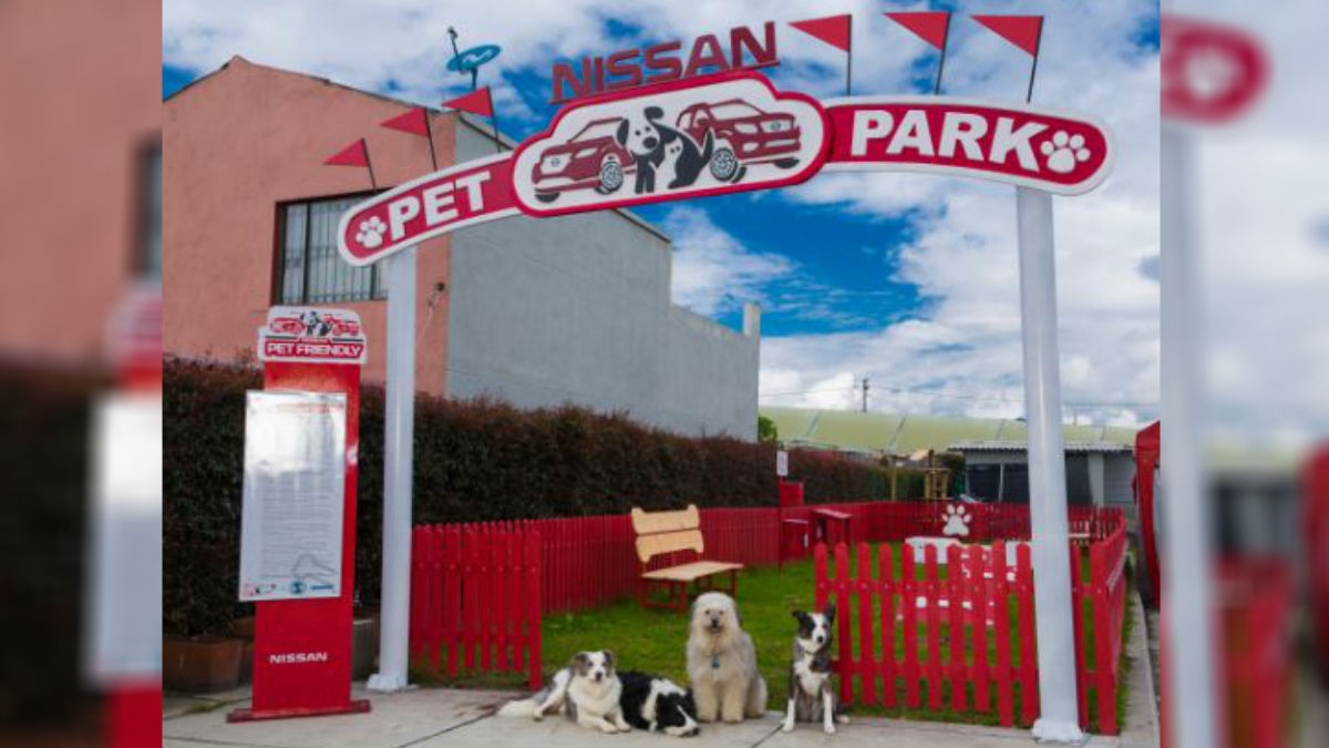 La vitrina de Nissan en Chía cuenta con un espacio exclusivo para las mascotas de sus clientes.