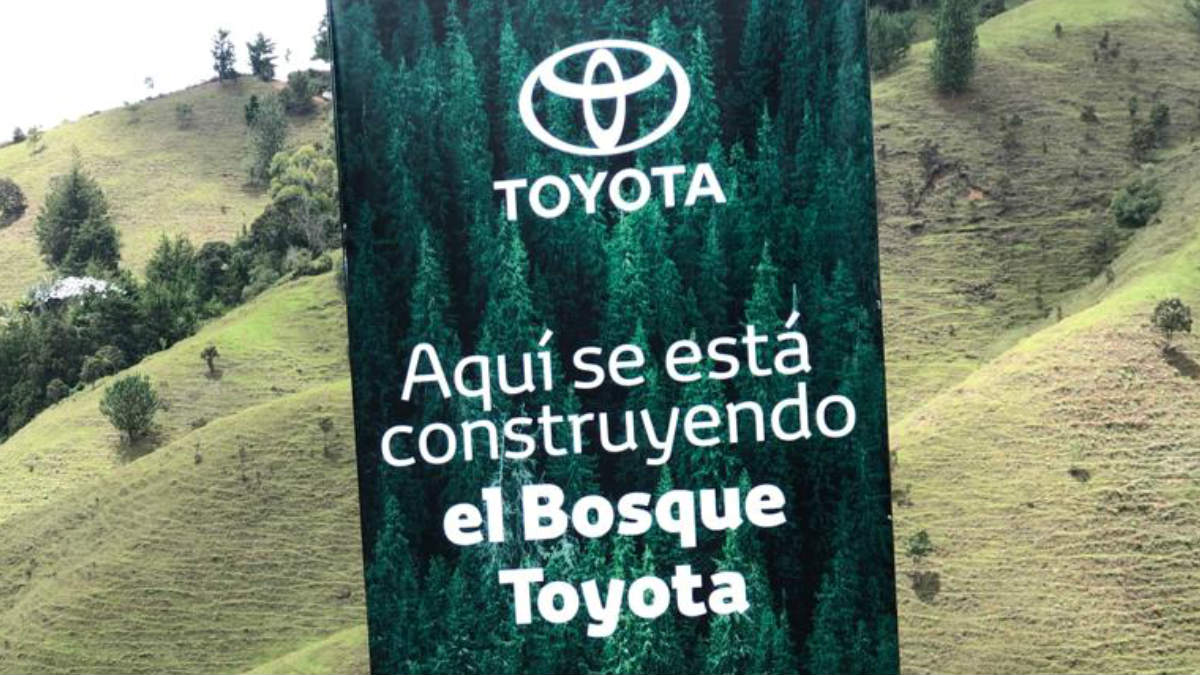 El segundo bosque Toyota contará con más de 7.500 árboles sembrados en el oriente antioqueño.