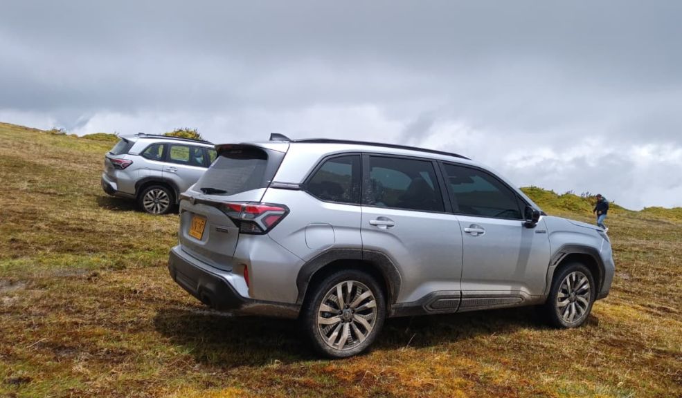 Subaru Forester 2026 debutó en Colombia: características de esta Strong Hybrid