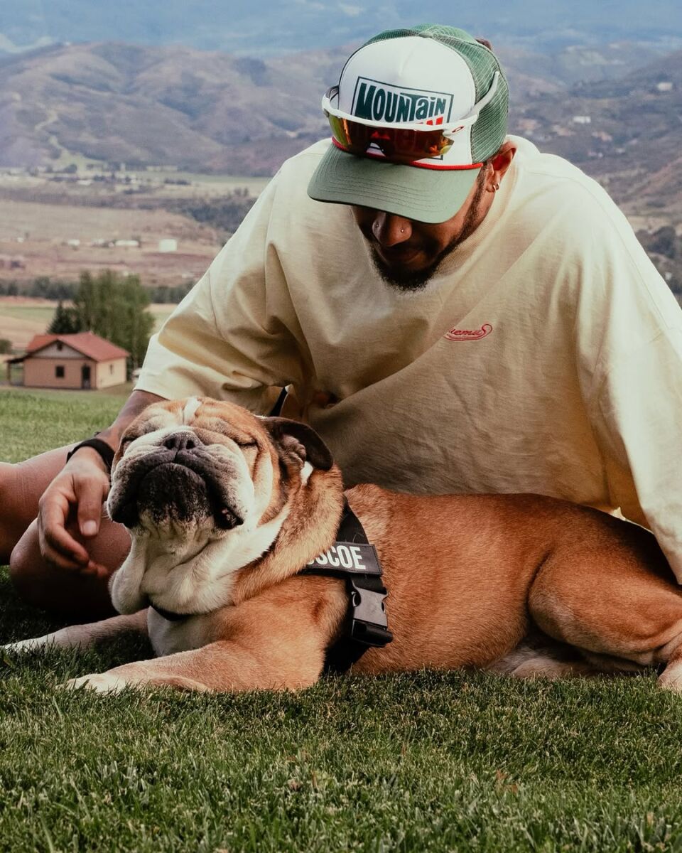 Hamilton anunció que lastimosamente Roscoe falleció: las reacciones