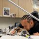 El drama personal de Hamilton mientras su perro Roscoe lucha por su vida