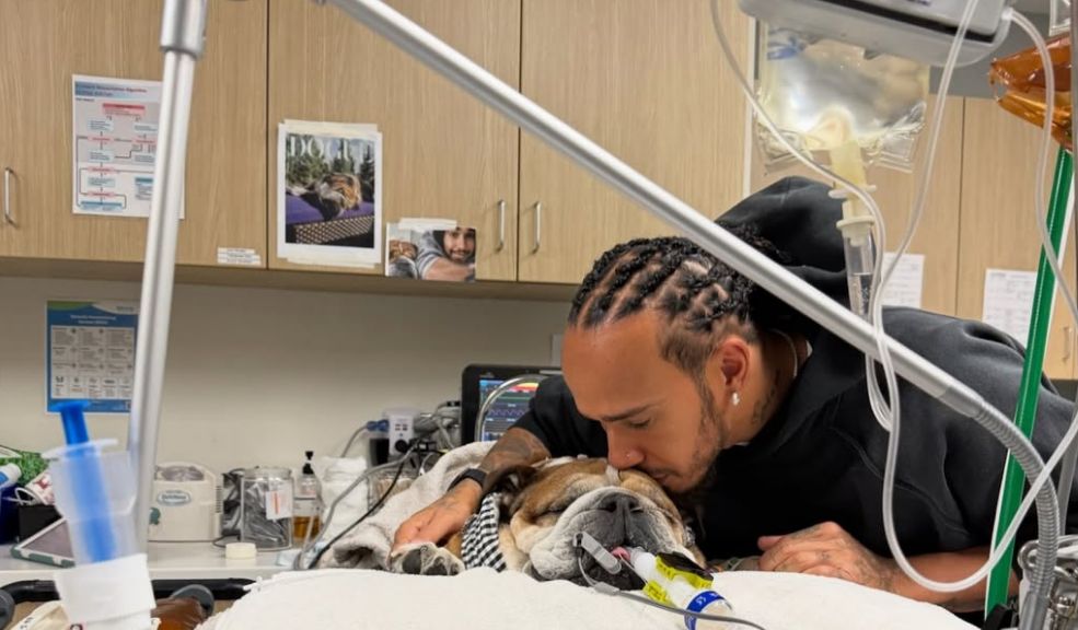 El drama personal de Hamilton mientras su perro Roscoe lucha por su vida