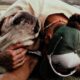 Hamilton anunció que lastimosamente Roscoe falleció: las reacciones