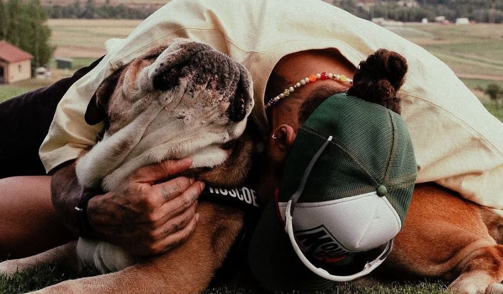 Hamilton anunció que lastimosamente Roscoe falleció: las reacciones
