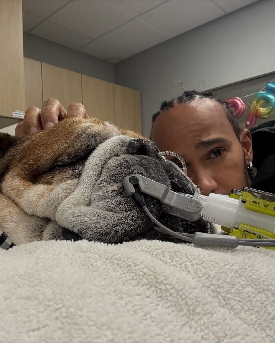 El drama personal de Hamilton mientras su perro Roscoe lucha por su vida