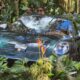 Porsche trajo a Colombia un 911 único en el mundo: celebran 30 años en nuestro país