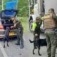 Caninos en operativos de tránsito: qué puede exigir la autoridad y qué debe cumplir el conductor